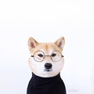 oyu