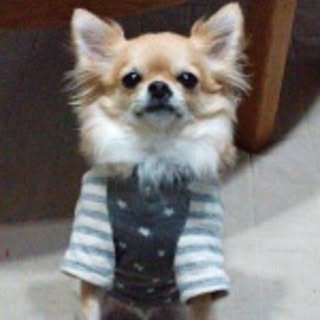 michi