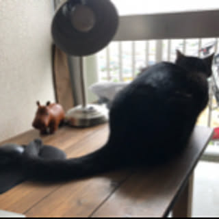 asiantea