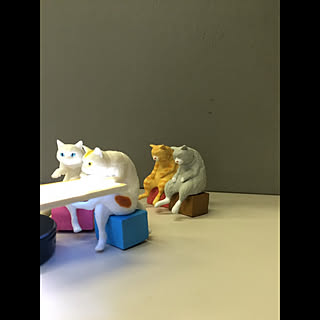 HippoPJ_tokyo