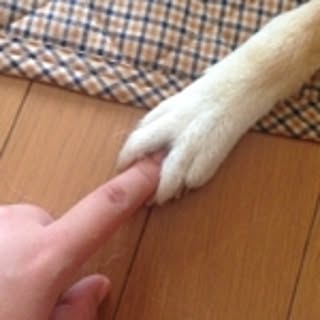 si_ori