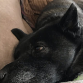 Yuki