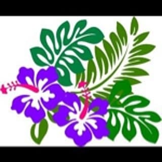 kameyama0127