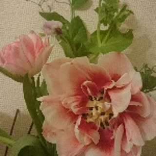 Mitsu