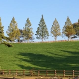 pannal