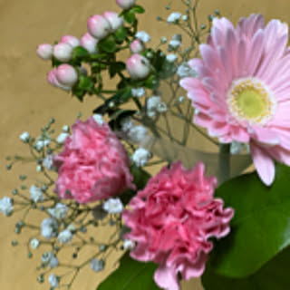 acha_6244