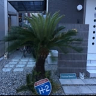 hiroko