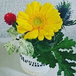 hana