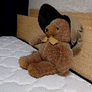 noz