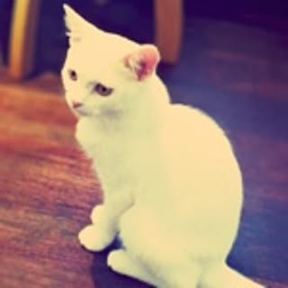 Natsumi