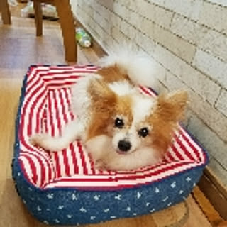 Hiromi