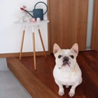 yurie