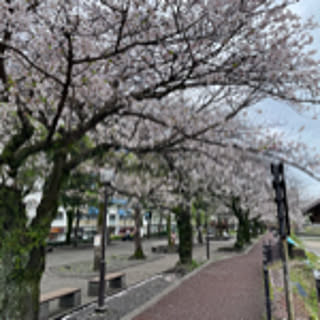 miyu