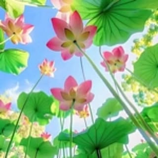 yasuko