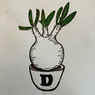 Daiki