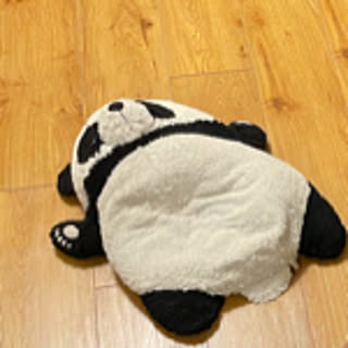 turucho