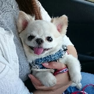 yukie