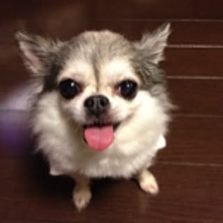 Masami