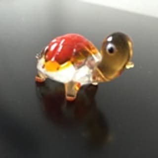 rai