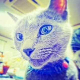 nonchan