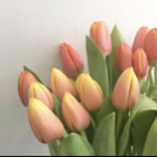 y.m