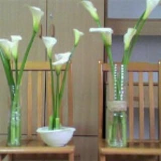 calla