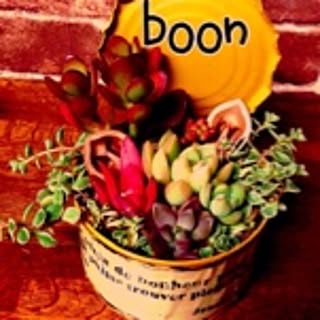 boon