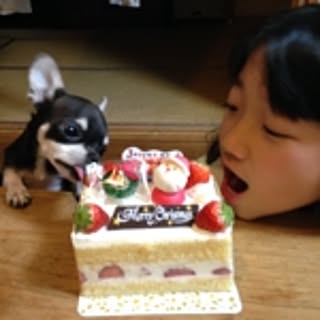 harukota