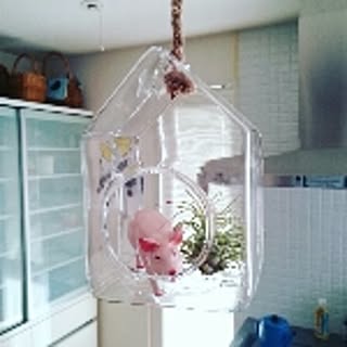 azukihanaemi