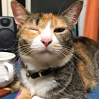 CHIKUWA