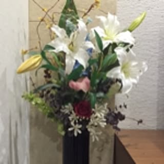 yasu