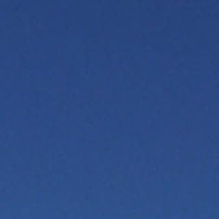 bocchi