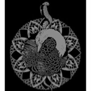 skullmoa