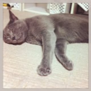 isocat3