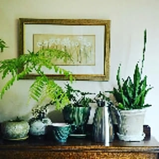 cozyhome_naoko