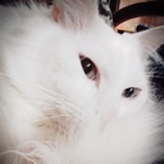 riruru