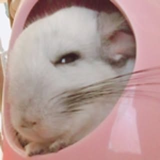 MONA