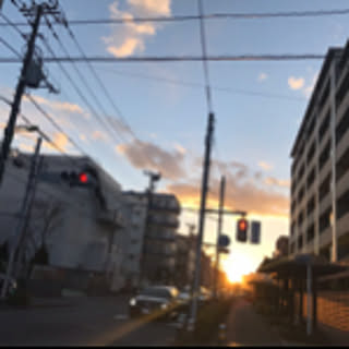 Hoshi82023838