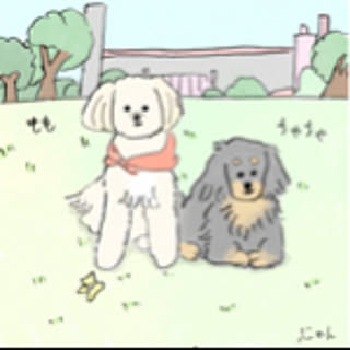 moeko