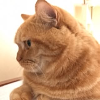 monnom