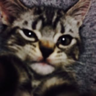 Chloko