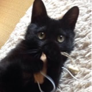 miyu