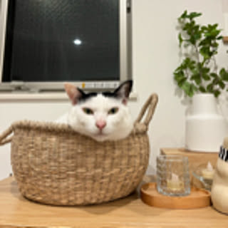 ririmama_room