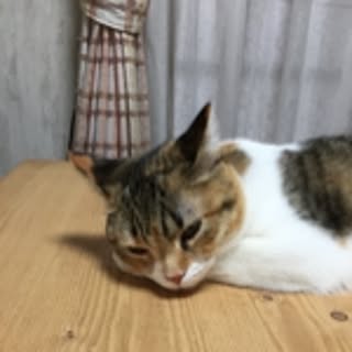 neesan-ishihara