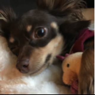 coco