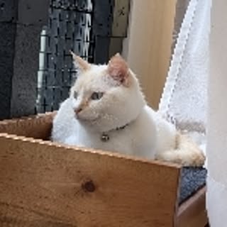 maru_hiro709