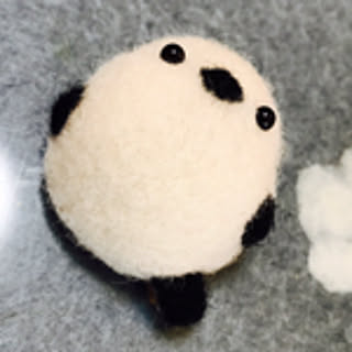pachi
