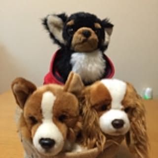 kurisu.mairo.kurea