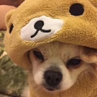 Chibi