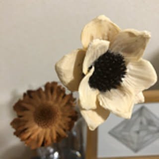 Minami
